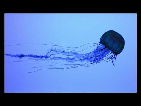 KMC feat. Dhany - I Feel So Fine (G&M Project rmx)