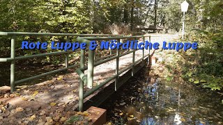 Rote Luppe & Nördliche Luppe