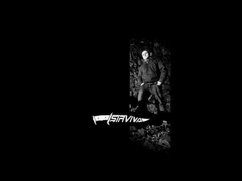 Sirviva &. Absztrakkt - Der Colonel ist aus Eisen (X-Tape 2010)