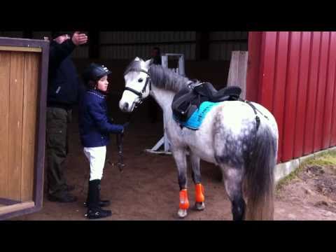 HZT Turzyn 19.03.2011 - FIGARO - 1