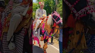 Download lagu trending ghode per hoke sawar chala hai dulha Raja #horse #wedding #shaadi #viralvideo mp3 Download lagu trending ghode per hoke sawar chala hai dulha Raja #horse #wedding #shaadi #viralvideo mp3