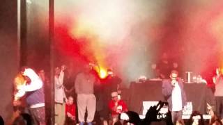 GZA the Genius -4th Chamber (ft. Killah Priest) Live The Observatory