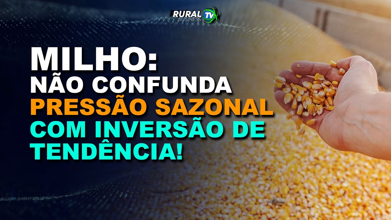 MILHO: NÃO CONFUNDA PRESSÃO SAZONAL COM INVERSÃO DE TENDÊNCIA!
