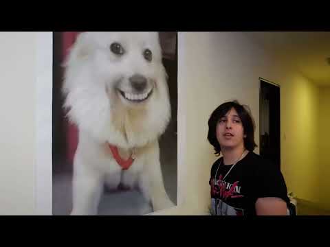 Esto fue mala idea, ahora que se supone que haga con todo esto? (Meme MissaSinfonia)