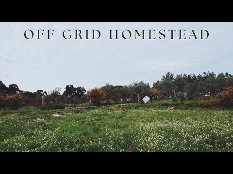 Tiny Home: Winter in the Portugese Countryside.