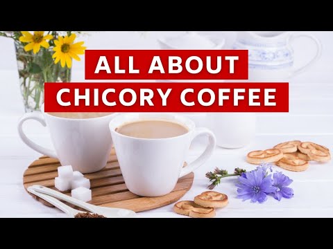 Everything You Need to Know About Chicory Coffee | by Detox is Good