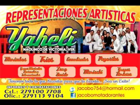 LOS ZEMBERS TEMA ESE SOY YO