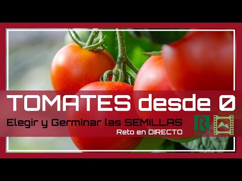 , title : '🌱 Cómo Hacer Semilleros para Cultivar 🍅 las mejores variedades de TOMATES 🍅  | LdN'