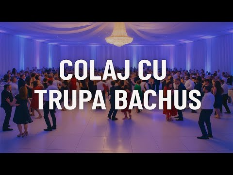 🔥 Ce seară minunată… cu Trupa Bachus | ❤️‍🔥 Colaj special pentru inima ta