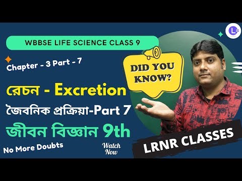 Chapter 3 Rechon (রেচন) Excretion | Joibonik Prokriya (Part 7)