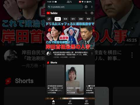 PP Web Browser