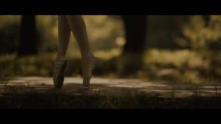 Max Richter   Shadow Journal