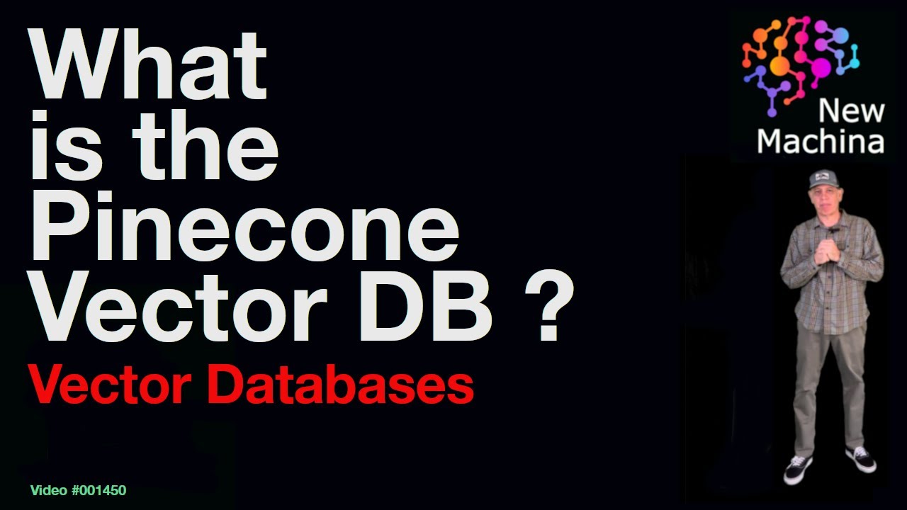 What is the Pinecone Vector DB ?