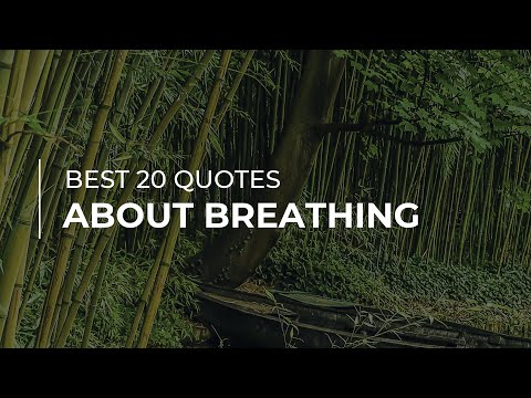 download lagu mp3 mp4 Learn How To Breathe Quotes, download mp3 Learn How To Breathe Quotes free download, download mp3 Learn How To Breathe Quotes