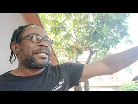 Queen Wasp Leak More Secret On Curly While She Defend Adasa 😫