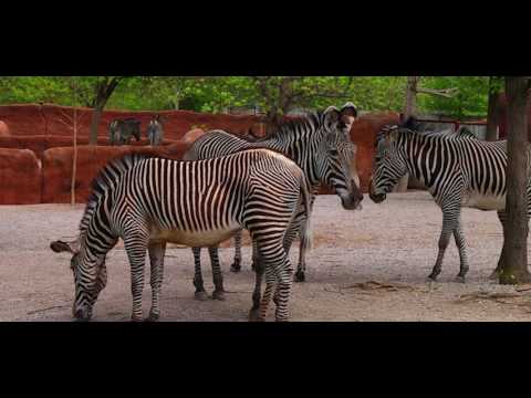 BEST WESTERN Garden Villa Inn - Roseburg OR