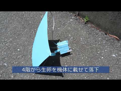 2020卵落としコンテスト