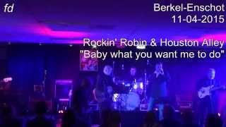Rockin' Robin & Houston Alley -  Baby what you want me to do  -   Berkel Enschot  11 -04 -2015