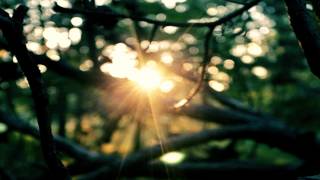 The Album Leaf - The Light (Aparde Remix)