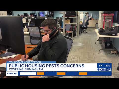 Birmingham public housing resident says home full of rats, mice and mold