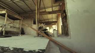 stephen malkmus troubble