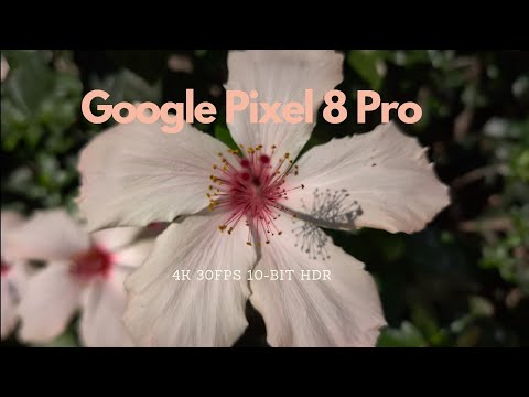 Google Pixel 8 Pro 4K 30FPS 10-Bit HDR Video Test