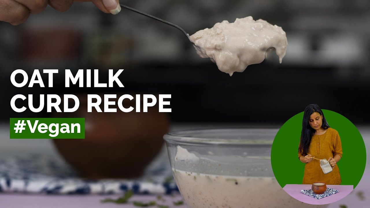 Oat milk curd | Vegan curd | Oat milk dahi | Healthy recipe