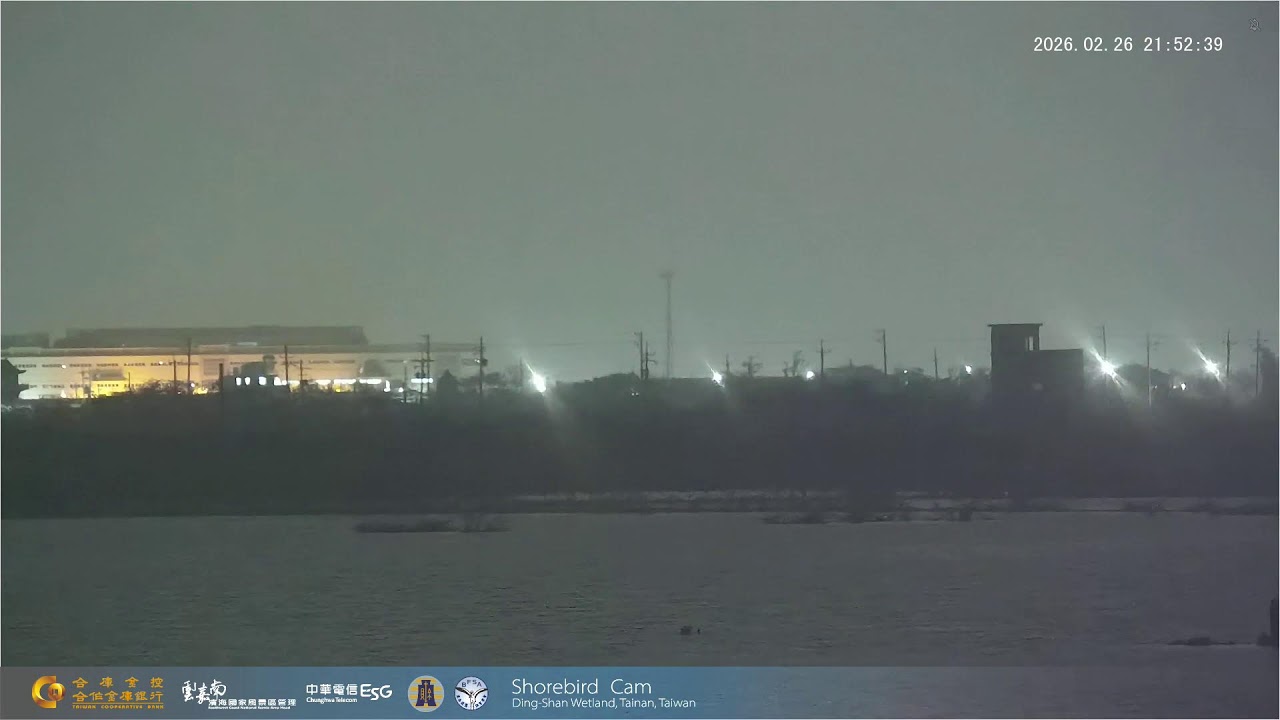 台南即時影像 - 旅遊景點監視器 5 台南七股 – 黑面琵鷺賞鳥亭