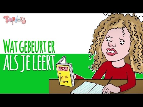 WAT DOEN JE HERSENEN ALS JE LEERT? - ANIMATIE