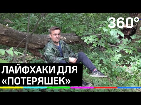 Что делать, если вы заблудились в лесу?