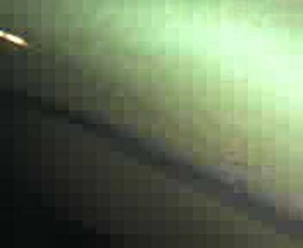 king_zutty_jumping@fclembeke