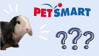 PetSmart Shopping Guide for Rabbits + Shop with my rabbit Heidi