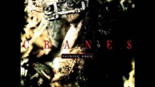Cranes - Don&#39;t Close Your Eyes