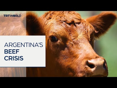 Rising costs force Argentinians to cut back on beef