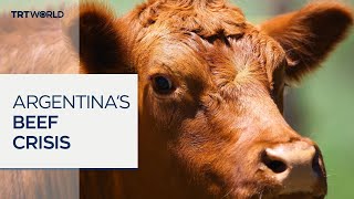 Argentina's beef consumption plummets as Milei's reforms drive inflation and poverty