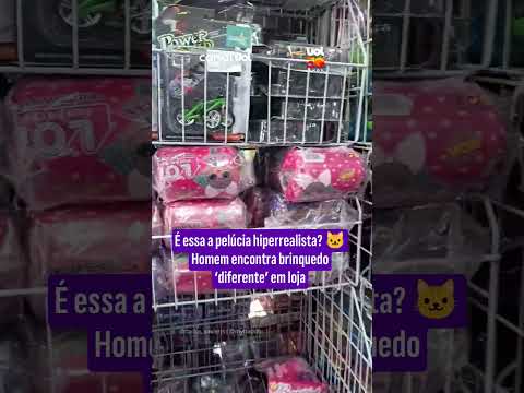 Disfarce perfeito: Gato realista demais em prateleira de loja surpreende cliente