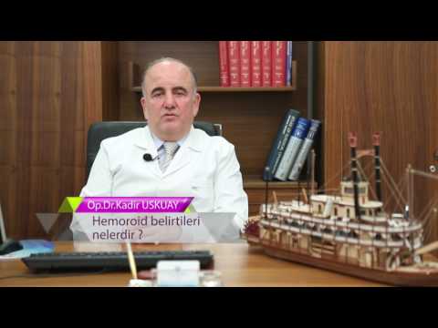Op. Dr. Kadir Uskuay - Genel Cerrahi Uzmanı - Hemoroid  Belirtileri Nelerdir?