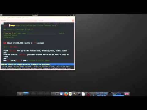 Enlightenment Window Manager