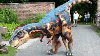 Real life T-Rex UK