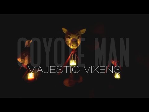 Coyote Man - Majestic Vixens - OFFICIAL MUSIC VIDEO - (INSTRUMENTAL ROCK)