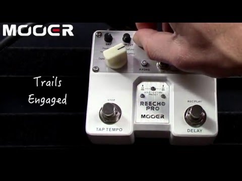 Mooer Reecho Pro Digital Delay Guitar Effects Pedal TDL-1 image 7