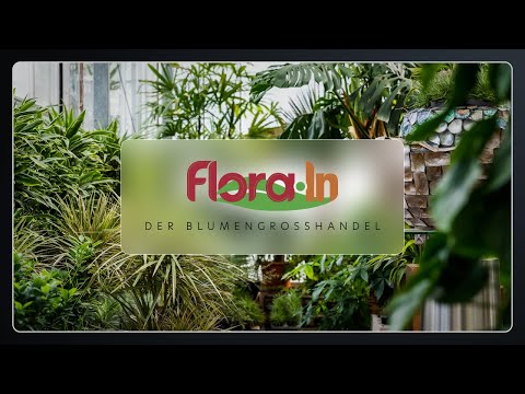 Flora In - Der Blumengroßhandel in Fulda | Imagefilm