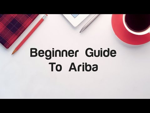 Beginner's Guide to Ariba