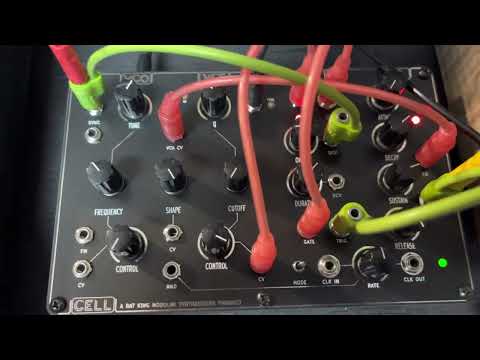 Rat King Modular Synthesizers “CELL”