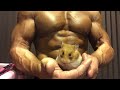 モフモフとムキムキのゴールデンハムスターのモグモグ