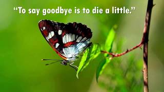 Download lagu Journeyman -  Aakash Gandhi - about  15 Minutes Music mp3