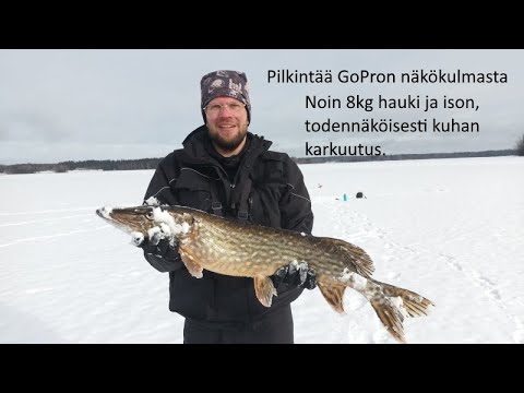 GoPro action 🤘 | Kaksi ison kalan väsytystä | Kuhaa pilkkimässä | Iso hauki