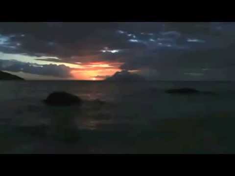 HOMO MEDICALUS - MUSIQUE LA PLUS RELAXANTE AU MONDE