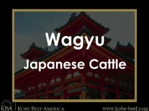 Kobe Beef History