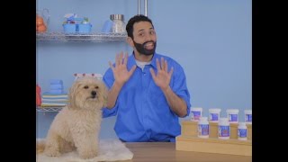 Angels’ Eyes Dog and Cat Tear Stain Removers | Chewy